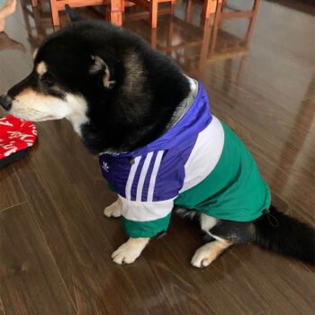Dog Hoodies Adidas - 2025 - Puppy Streetwear Shop Dog Hoodies Adidas - 2025 - Puppy Streetwear Shop