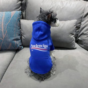 Dog Hoodies Balenciaga - 2026 - Puppy Streetwear Shop