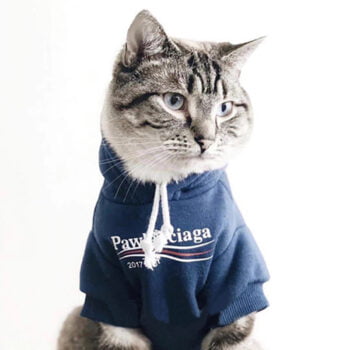 Dog Hoodies Pawlenciaga - 2025 - Puppy Streetwear Shop