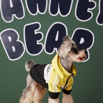 Dog Jacket Balenciaga - 2025 - Puppy Streetwear Shop Dog Jacket Balenciaga - 2025 - Puppy Streetwear Shop