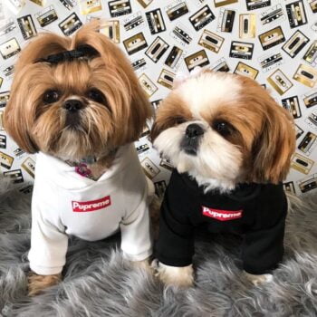 Dog Hoodies Supreme - 2025 - Puppy Streetwear Shop