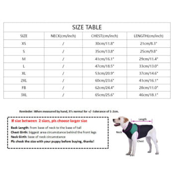 Dog Jacket Fendi - 2025 - Puppy Streetwear Shop