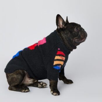 Dog Sweater WOOF - 2026 - Puppy Streetwear Shop