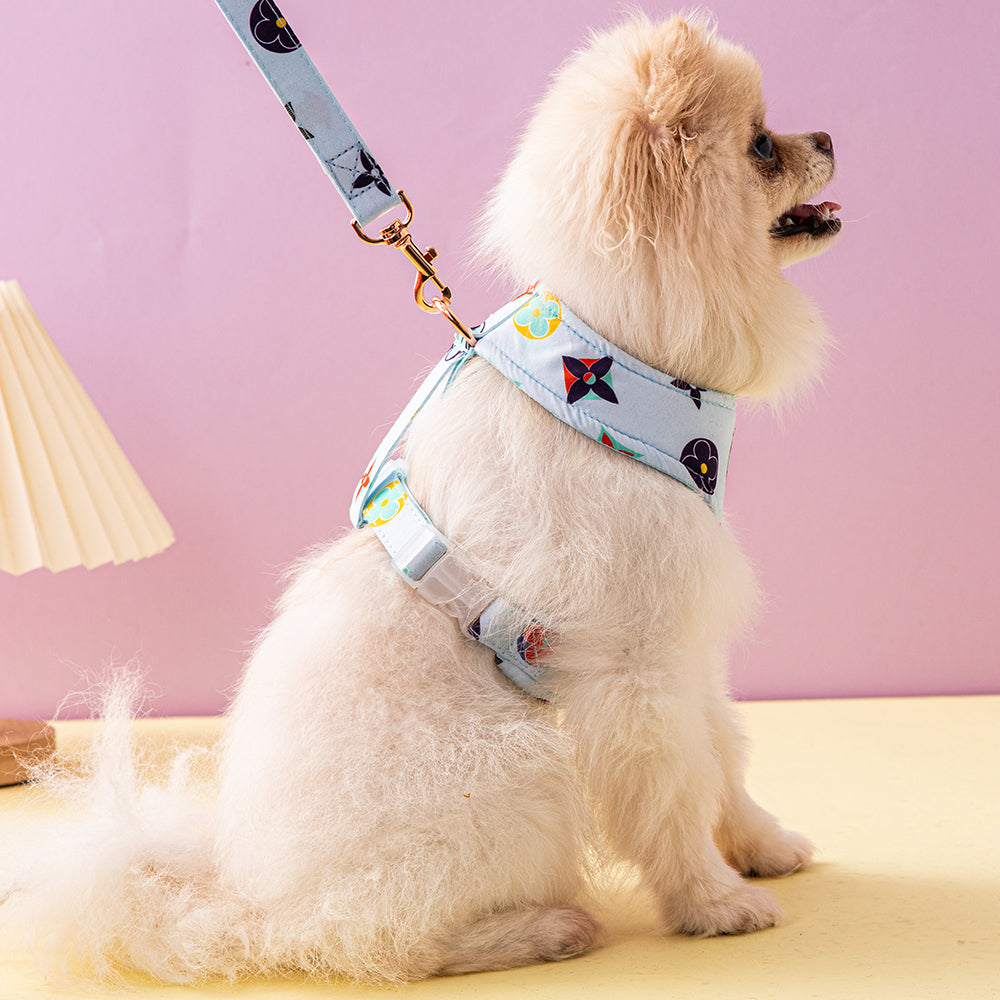 Designer Dog Collar Harness Louis Vuitton - 2023 - Puppy Streetwear Shop