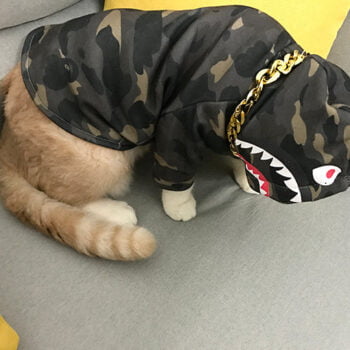 Dog Hoodies Bape - 2025 - Puppy Streetwear Shop