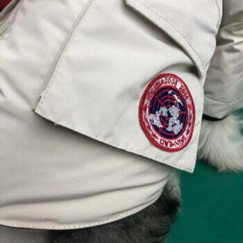 Dog Jacket Canada Goose - 2025 - Puppy Streetwear Shop