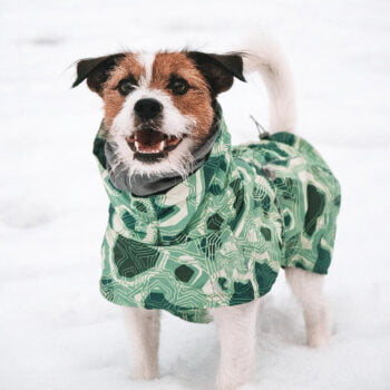 Dog Hoodies - 2025 - Puppy Streetwear Shop