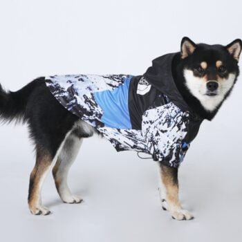 Dog Jacket The Dog Face Snow Mountain - 2026 - Puppy Streetwear Shop