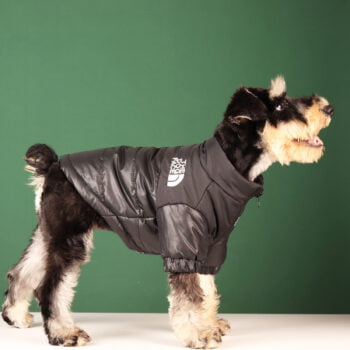 Dog Jacket The North Face - 2026 - Puppy Streetwear Shop
