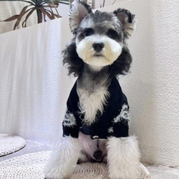 Dog Sweater Chanel - 2025 - Puppy Streetwear Shop Dog Sweater Chanel - 2025 - Puppy Streetwear Shop