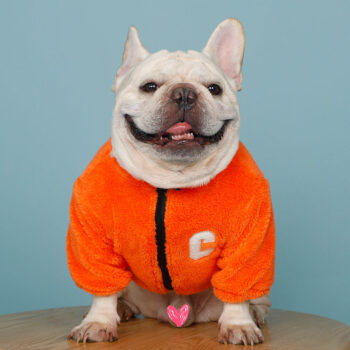 Dog Jacket Celine - 2025 - Puppy Streetwear Shop