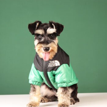 Dog Jacket The North Face - 2026 - Puppy Streetwear Shop
