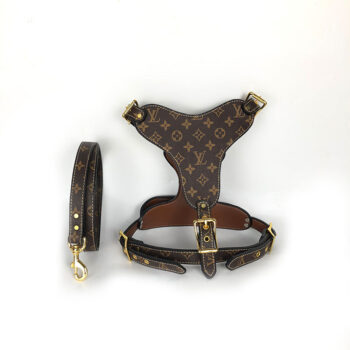 Dog Collar Harness Louis Pawtton - 2025 - Puppy Streetwear Shop