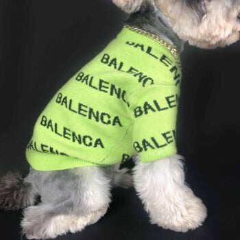 Dog Sweater Balenciaga - 2025 - Puppy Streetwear Shop