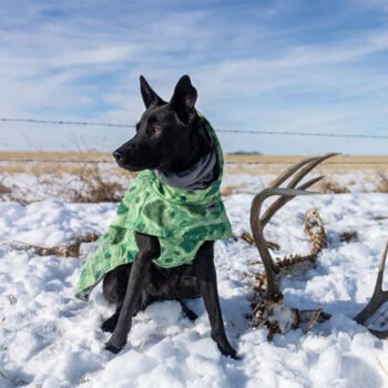 Dog Hoodies - 2025 - Puppy Streetwear Shop