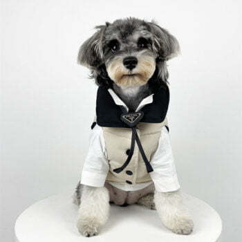 Dog Jacket Canada Goose - 2026 - Puppy Streetwear Shop