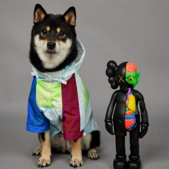 Dog Hoodies The North Face - 2025 - Puppy Streetwear Shop