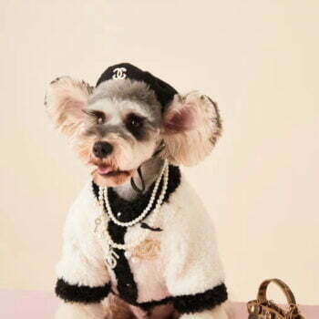 Dog Jacket Chanel - 2025 - Puppy Streetwear Shop