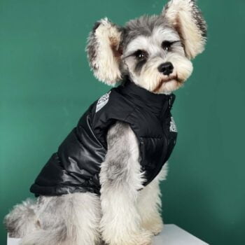 Dog Jacket The Dog Face - 2025 - Puppy Streetwear Shop Dog Jacket The Dog Face - 2025 - Puppy Streetwear Shop