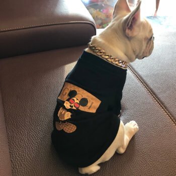 Dog Sweatshirt Pawcci - 2025 - Puppy Streetwear Shop