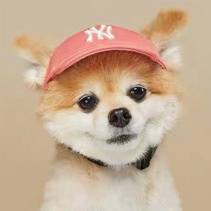 Designer Dog Caps - 2023 - Puppy Streetwear Shop