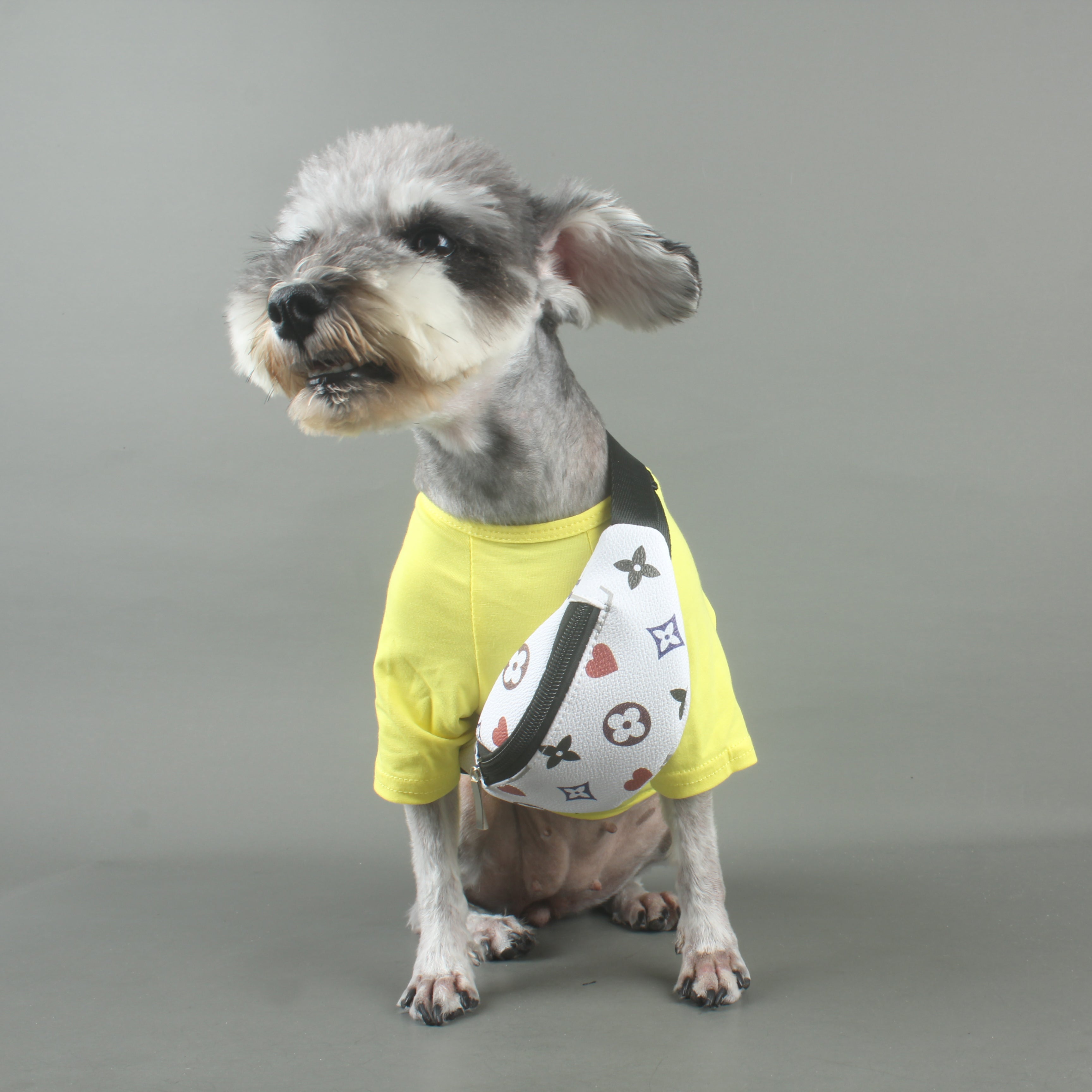 Designer Dog Backpack - 2023 - Puppy Streetwear Shop
