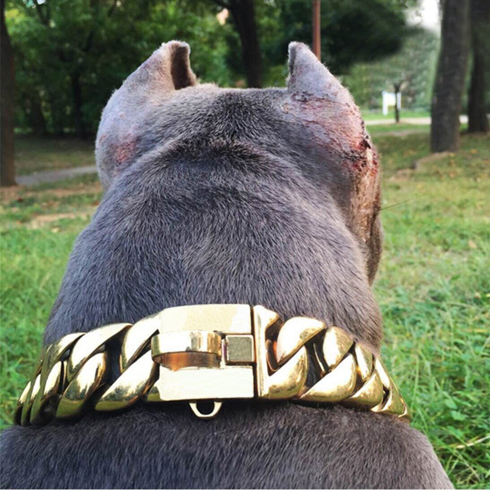 Dog Collar - 2025 - Puppy Streetwear Shop