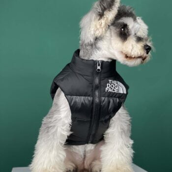Dog Jacket The Dog Face - 2025 - Puppy Streetwear Shop Dog Jacket The Dog Face - 2025 - Puppy Streetwear Shop