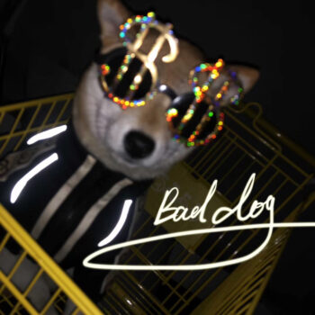 Dog Jacket Pawcci - 2025 - Puppy Streetwear Shop