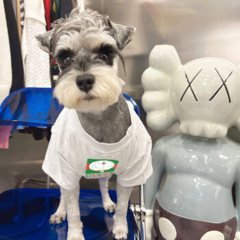 Dog Tshirt Pawcci - 2025 - Puppy Streetwear Shop