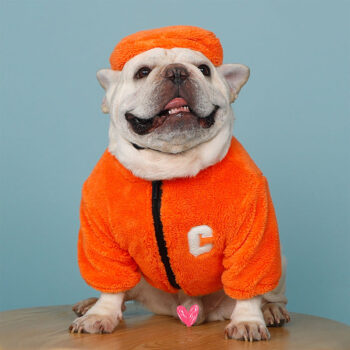 Dog Jacket Celine - 2025 - Puppy Streetwear Shop