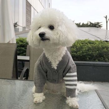 Dog Sweater - 2026 - Puppy Streetwear Shop