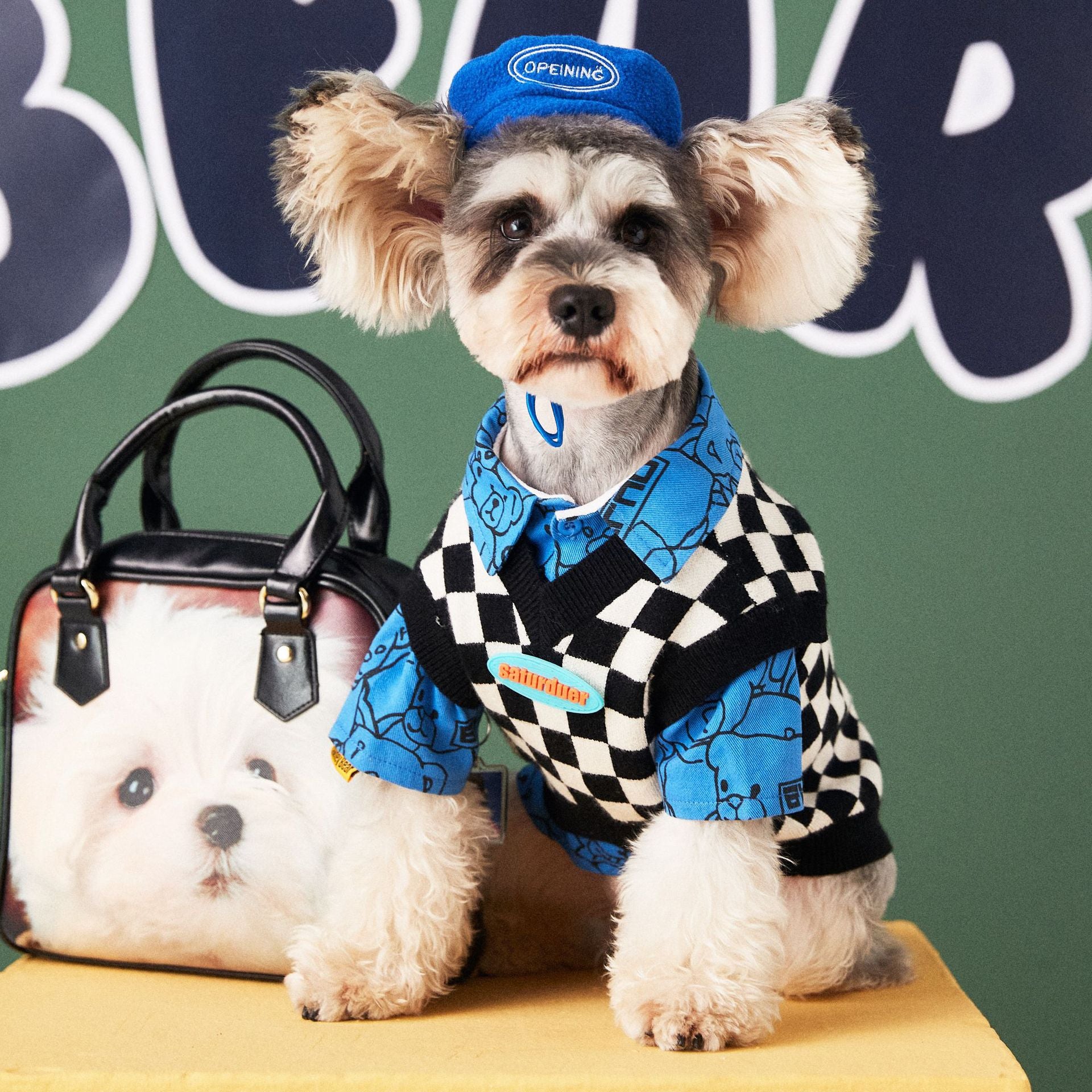 Dog Beret Opening - 2025 - Puppy Streetwear Shop