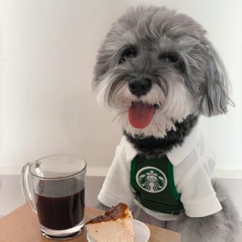 Dog Vest - 2025 - Puppy Streetwear Shop