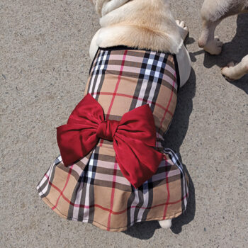 Dog Dress Burberry - 2026 - Puppy Streetwear Shop