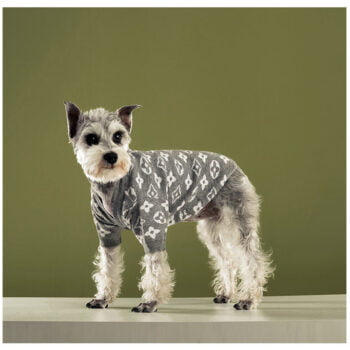 Dog Sweater Louis Pawtton - 2026 - Puppy Streetwear Shop