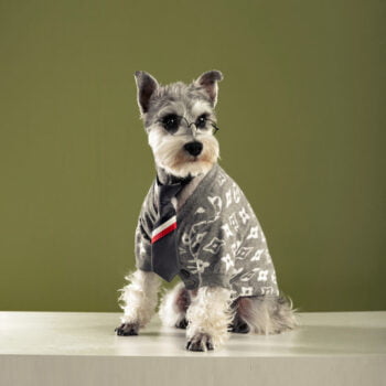 Dog Sweater Louis Pawtton - 2026 - Puppy Streetwear Shop