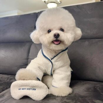 Dog Bathrobe - 2025 - Puppy Streetwear Shop