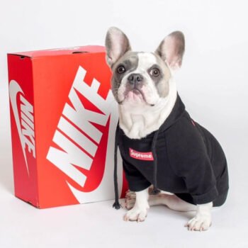 Dog Hoodie Supreme - 2025 - Puppy Streetwear Shop