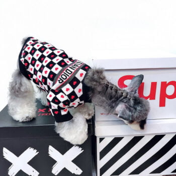 Dog Sweater Dior - 2026 - Puppy Streetwear Shop