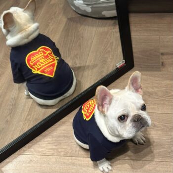 Dog Tshirt Louis Pawtton - 2026 - Puppy Streetwear Shop