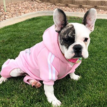Dog Hoodies Adidas - 2025 - Puppy Streetwear Shop