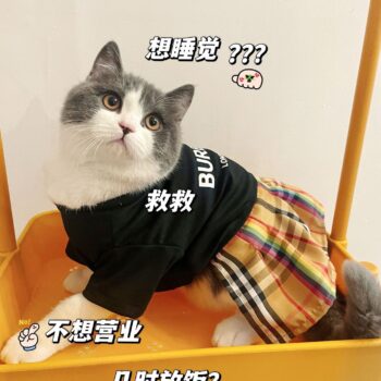 Dog Dress Burberry - 2025 - Puppy Streetwear Shop