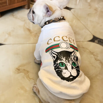 Dog Sweatshirt Pawcci - 2025 - Puppy Streetwear Shop