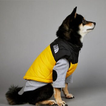 Exclusive Designer Dog Jackets - The North Face Inspired Puppy Apparel - 2025 - Puppy Streetwear Shop