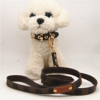 Dog Collar Harness Louis Pawtton - 2025 - Puppy Streetwear Shop