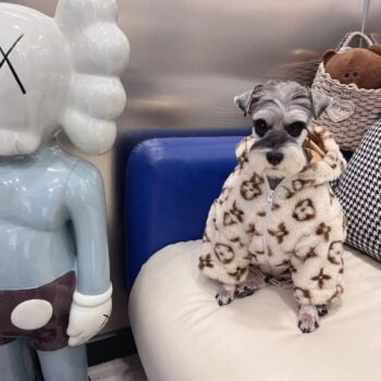 Dog Hoodies Louis Pawtton - 2025 - Puppy Streetwear Shop Dog Hoodies Louis Pawtton - 2025 - Puppy Streetwear Shop