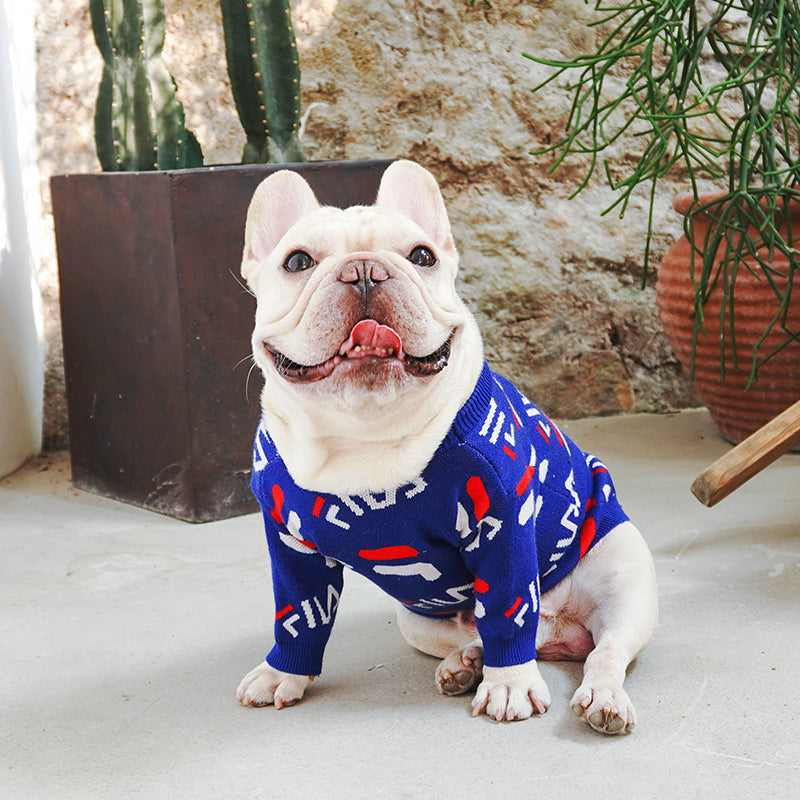 Designer Dog Sweater Fila - 2023 - Puppy Streetwear Shop