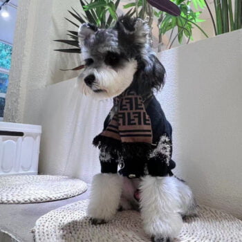 Dog Sweater Chanel - 2025 - Puppy Streetwear Shop Dog Sweater Chanel - 2025 - Puppy Streetwear Shop