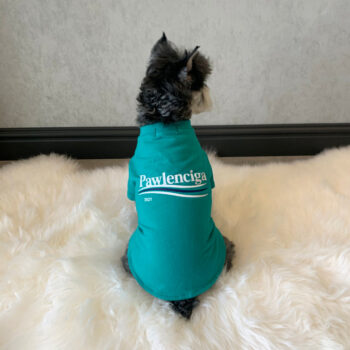 Dog Tshirt Balenciaga - 2026 - Puppy Streetwear Shop
